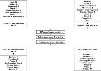 Diagnosis of extrapulmonary tuberculosis by ultrasound-guided biopsy: A retrospective comparison study